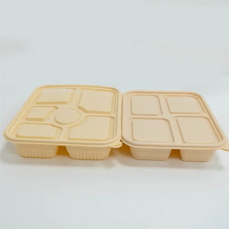 Disposable Divided Food Containers - Ideal for Health-Conscious Consumers (22)