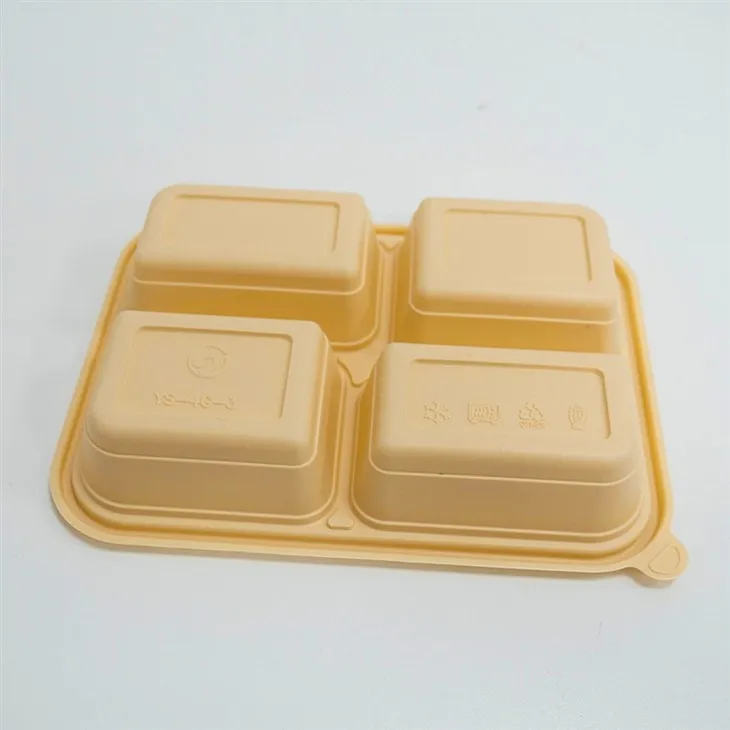 Disposable Divided Food Containers - Ideal for Health-Conscious Consumers (21)